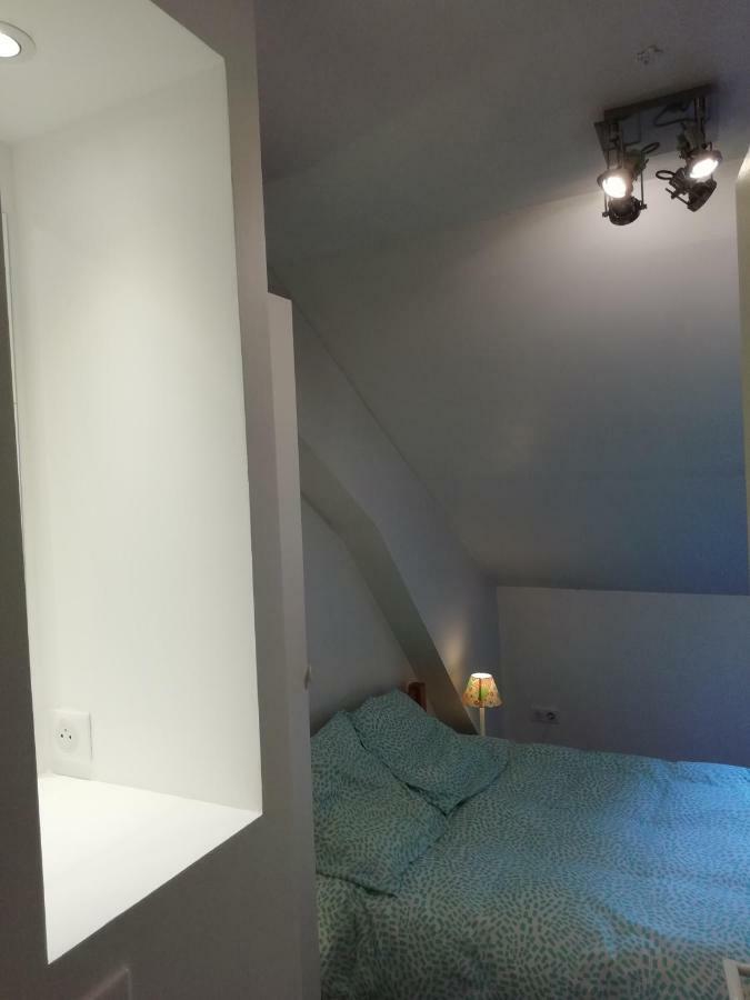 Au Pied Du Telecabine, T3 50M2 Pour 8 Personnes. 코트레 외부 사진